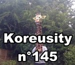 koreusity 2015 zapping Koreusity n°145