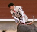 torero matador Encorné, un torero perd son testicule