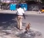 route traverser Un policier aide un chien à traverser la route