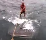 surf Ils surfent sur un requin-baleine