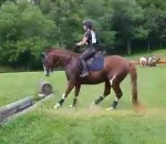 cheval saut Un cheval hésitant saute un obstacle