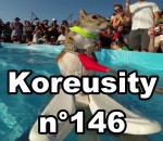 koreusity 2015 insolite Koreusity n°146