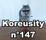 koreusity 2015 insolite Koreusity n°147