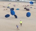 plage Des parasols emportés par le vent sur une plage
