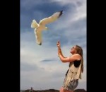 oiseau plage fille Une fille attrape un goéland