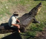 dos Un homme chevauche un alligator