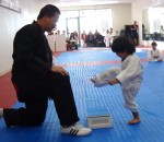 petit enfant casser Un petit garçon fait du taekwondo