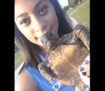 sauvetage tortue Comment ne pas sauver une tortue terrestre