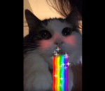 vomi selfie Snapcat Charlie