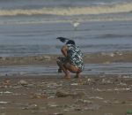 bidonville plage On fait caca sur la plage en Inde