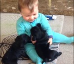 rire chien Deux chiots font des bisous à un bébé