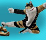 chat bagarre Cat Dog Kung Fu (Corridor Digital)
