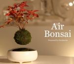 air Air Bonsaï