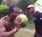 noix coco Un homme épluche une noix de coco avec ses dents