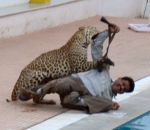 leopard inde Attaque d'un léopard dans une école