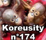 koreusity 2016 zapping Koreusity n°174
