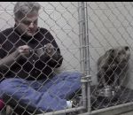 manger chien Un vétérinaire mange dans une cage avec un chien craintif