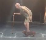 lent Un chien marche avec un vieil homme