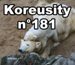 koreusity 2016 Koreusity n°181