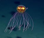 profondeur meduse Des méduses au look extraterrestre