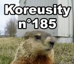 koreusity insolite web Koreusity n°185