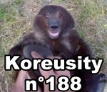 koreusity 2016 zapping Koreusity n°188