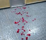 rose Quand ta copine te fait une surprise pour la St-Valentin