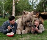 ours animal 23 Un couple russe vit avec un ours depuis 23 ans