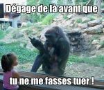 doigt honneur Un gorille dans un zoo fait signe à un enfant de dégager