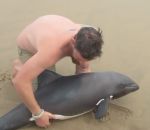 sauvetage plage echoue Un moniteur de kayak remet un petit dauphin à la mer