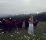 vache troupeau suede La technique vocale du « Kulning » pour appeler un troupeau de vaches