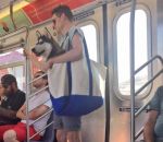 new-york sac husky Les chiens ne sont pas autorisés dans les métros newyorkais sauf s'ils sont dans un sac