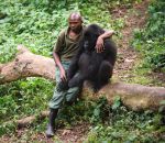 homme Un homme réconforte un gorille qui vient de perdre sa mère