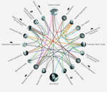 infographie Toutes les connexions entre les personnages de Game of Thrones #SPOILER