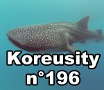 koreusity 2016 fail Koreusity n°196