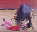 taureau torero Le torero Victor Barrio meurt par encornement 