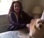 femme chien content Cache-cache avec un chien