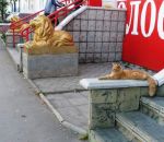 statue chat Les trois lions en or