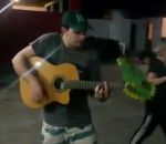 guitare chanteur oiseau Un guitariste chante en duo avec un perroquet