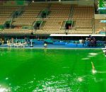 2016 Le piscine du plongeoir olympique est verte (Rio)