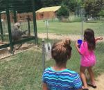 fille Un singe lance du caca sur une petite fille dans un zoo