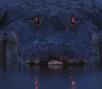 oeil Les yeux d'un alligator au crépuscule