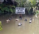 attention pancarte Attentions aux crocs
