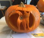 halloween visage Citrouille-lanterne avec un chat