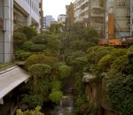 ville immeuble vegetation Jungle urbaine à Taipei