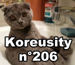koreusity octobre 2016 Koreusity n°206