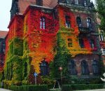 plante facade Le musée d'histoire naturelle de Wroclaw en Automne