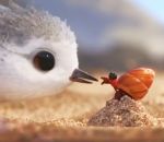 oiseau becasseau Piper (Pixar)