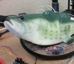 poisson Alexa dans un poisson jouet