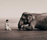 lecture Un enfant lit un livre à un éléphant